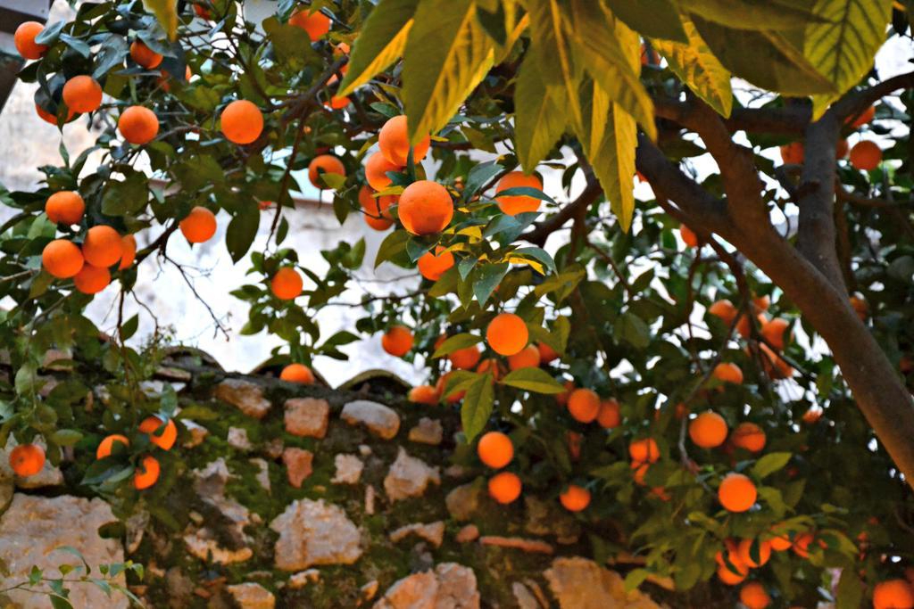 Giardino Del Sole Lejlighed Taormina Eksteriør billede